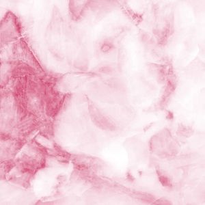 Meet your Posher, Ella